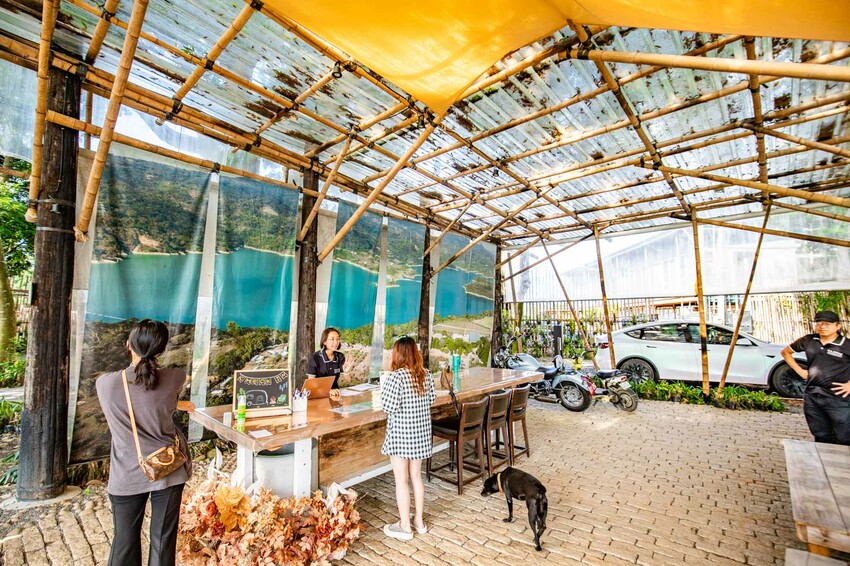 卓蘭小巷清風豪華露營，一泊三食網美必拍。