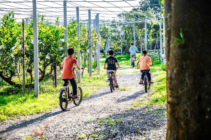 卓蘭小巷清風豪華露營，一泊三食網美必拍。