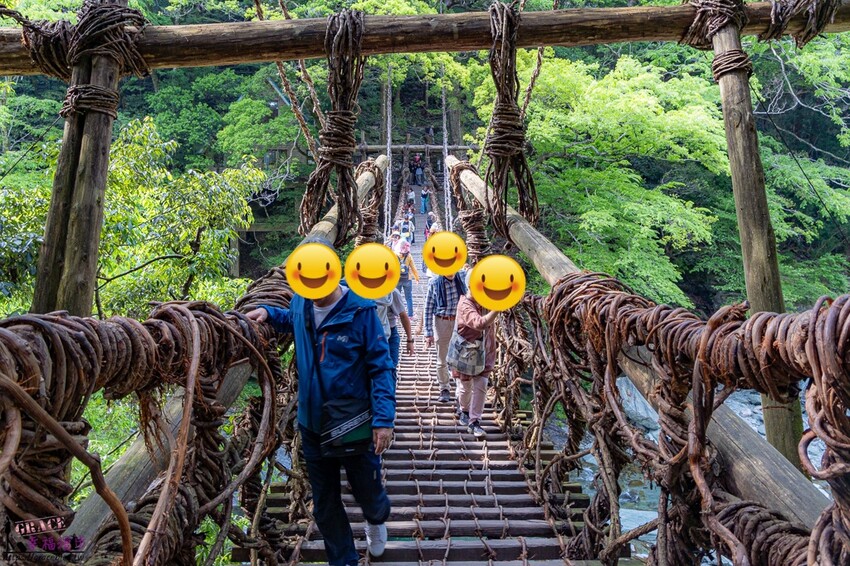 搭乘麗星遊輪暢遊大阪、高知六天五夜行程總整理