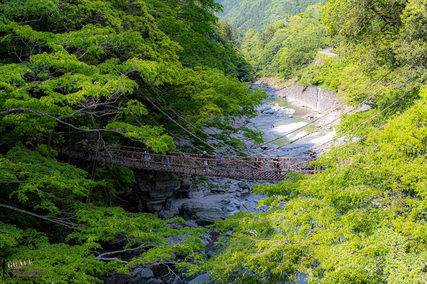 搭乘麗星遊輪暢遊大阪、高知六天五夜行程總整理