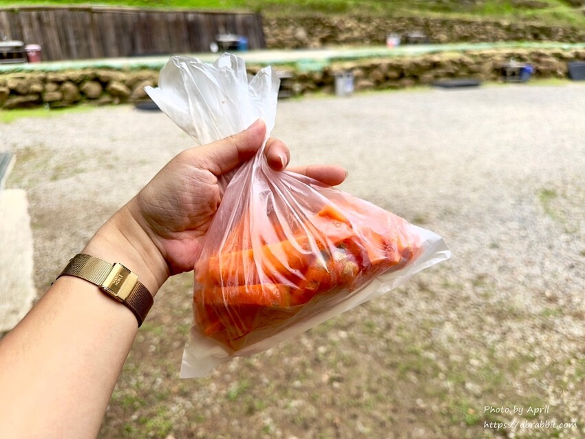苗栗縣南庄鄉赫利豐岳露營區-營區有小動物，還有懶人露營免搭帳