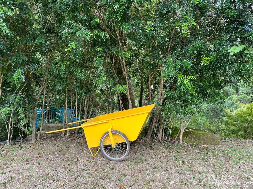 苗栗縣南庄鄉赫利豐岳露營區-營區有小動物，還有懶人露營免搭帳