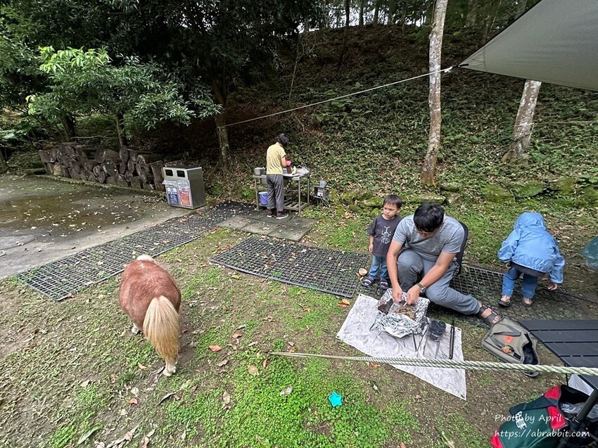 苗栗縣南庄鄉赫利豐岳露營區-營區有小動物，還有懶人露營免搭帳