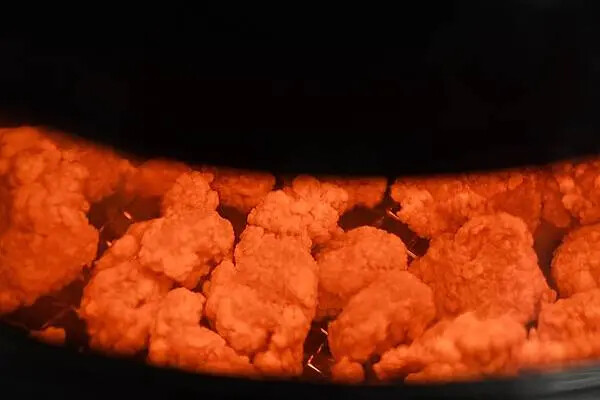 垣の氣炸鍋熱銷！316鋼內鍋超萬用，多功能氣炸鍋推薦。