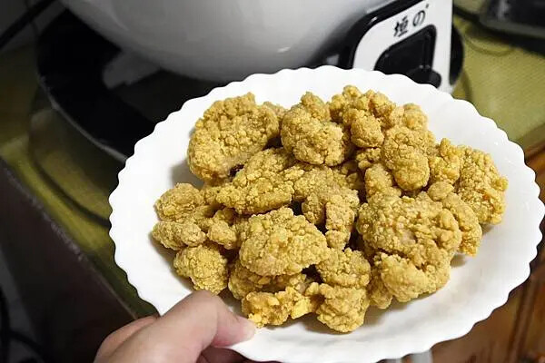 垣の氣炸鍋熱銷！316鋼內鍋超萬用，多功能氣炸鍋推薦。