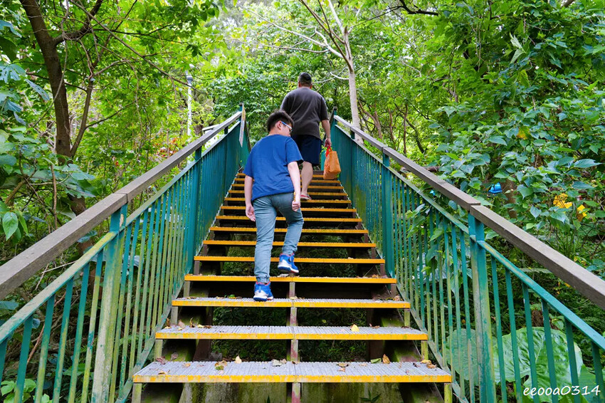 新北五股「水碓觀景公園」森林步道×賞景平台×看飛機! 台北近 新北五股「水碓觀景公園」森林步道×賞景平台×看飛機! 台北近