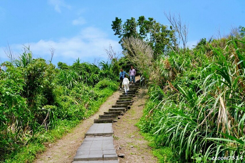 花蓮豐濱「大石鼻山步道」750公尺輕鬆走,親子也能輕鬆挑戰的 花蓮豐濱「大石鼻山步道」750公尺輕鬆走,親子也能輕鬆挑戰的