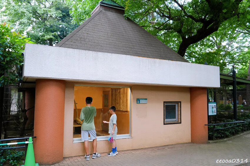 井之頭自然文化園-親子旅遊-松鼠之家.jpg