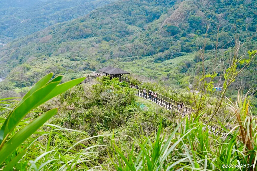 花蓮豐濱「大石鼻山步道」750公尺輕鬆走,親子也能輕鬆挑戰的 花蓮豐濱「大石鼻山步道」750公尺輕鬆走,親子也能輕鬆挑戰的