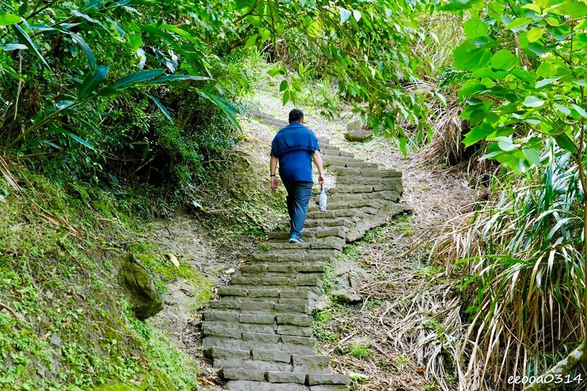 花蓮豐濱「大石鼻山步道」750公尺輕鬆走,親子也能輕鬆挑戰的 花蓮豐濱「大石鼻山步道」750公尺輕鬆走,親子也能輕鬆挑戰的