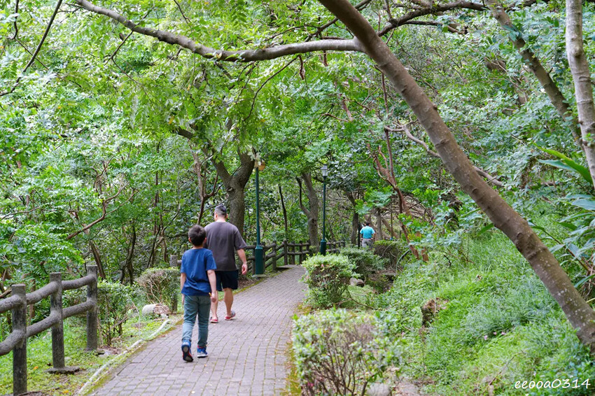 新北五股「水碓觀景公園」森林步道×賞景平台×看飛機! 台北近 新北五股「水碓觀景公園」森林步道×賞景平台×看飛機! 台北近