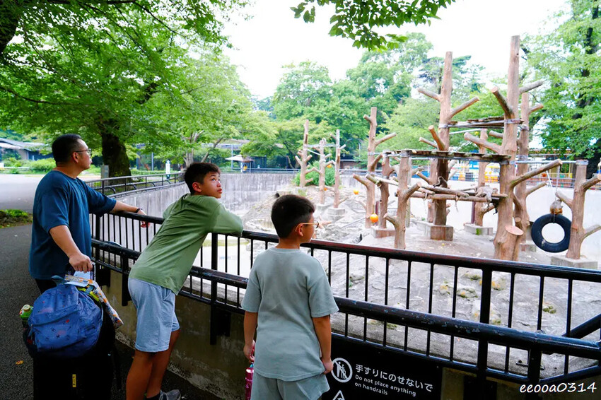 東京最療癒親子景點「井之頭自然文化園」動物園、松鼠小徑、迷你