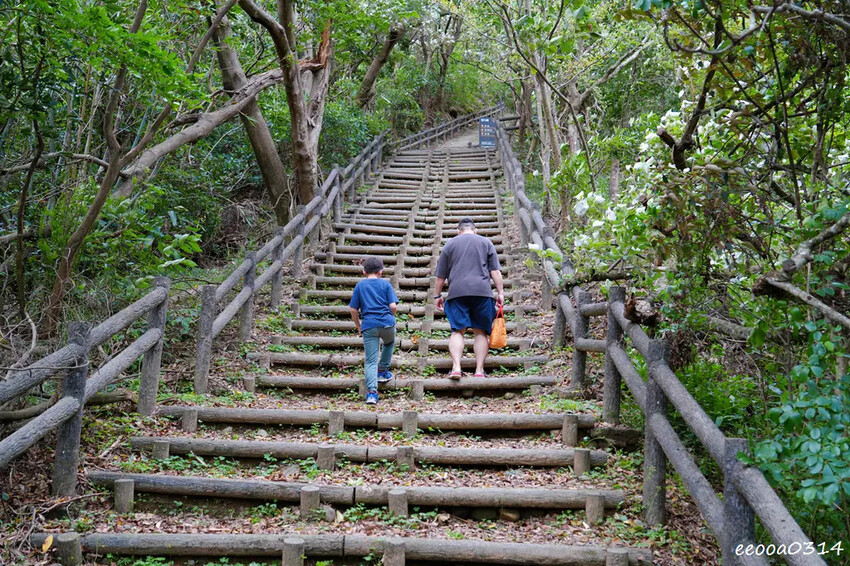 新北五股「水碓觀景公園」森林步道×賞景平台×看飛機! 台北近 新北五股「水碓觀景公園」森林步道×賞景平台×看飛機! 台北近
