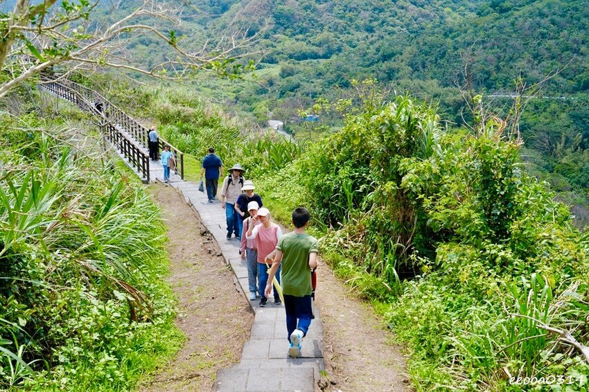 花蓮豐濱「大石鼻山步道」750公尺輕鬆走,親子也能輕鬆挑戰的 花蓮豐濱「大石鼻山步道」750公尺輕鬆走,親子也能輕鬆挑戰的