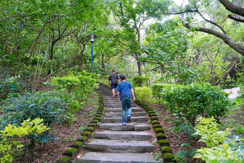 新北五股「水碓觀景公園」森林步道×賞景平台×看飛機! 台北近 新北五股「水碓觀景公園」森林步道×賞景平台×看飛機! 台北近
