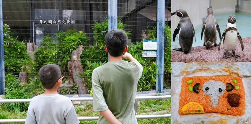 東京最療癒親子景點「井之頭自然文化園」動物園、松鼠小徑、迷你