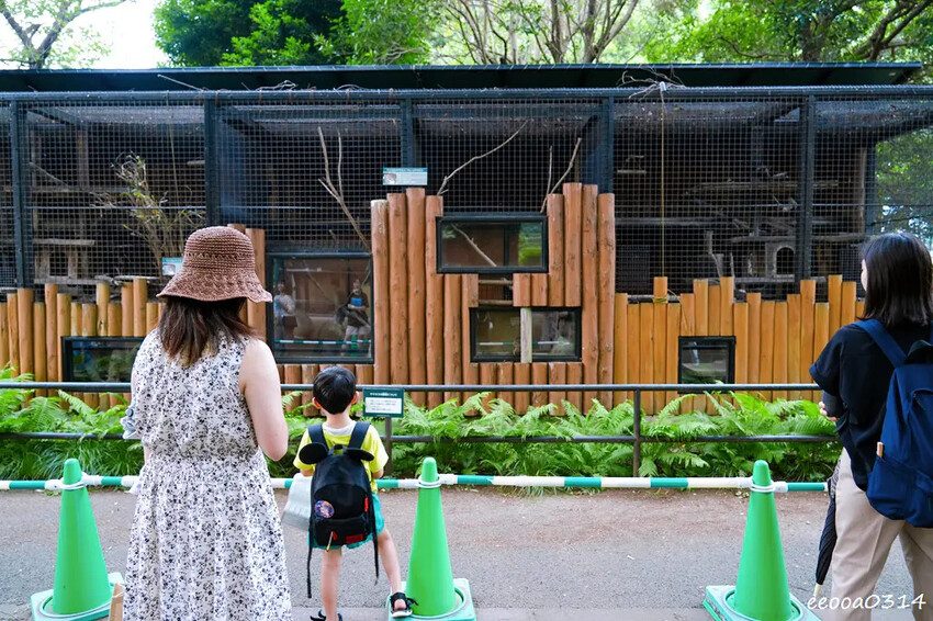 井之頭自然文化園-親子旅遊-松鼠之家.jpg