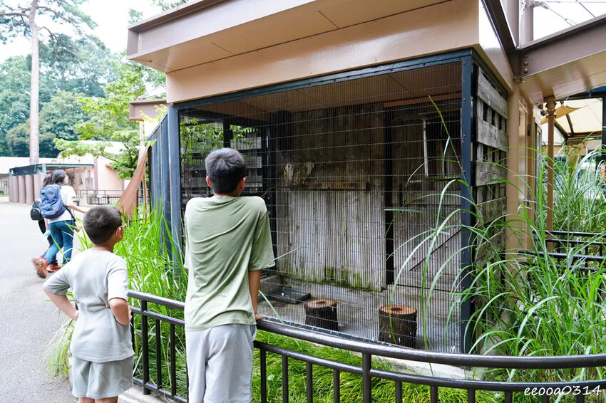 井之頭自然文化園-親子旅遊-松鼠之家.jpg