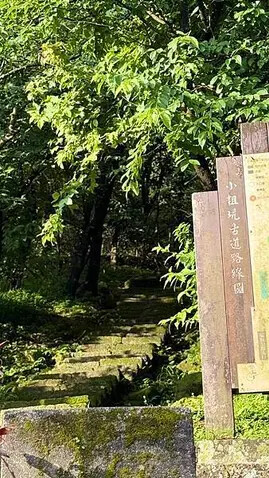 IMG_9319.jpg IMG_9319.jpg