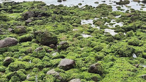 IMG_6943 (1).jpg IMG_6943 (1).jpg