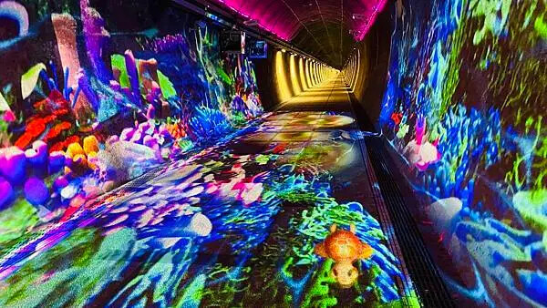 IMG_9458.jpg IMG_9458.jpg