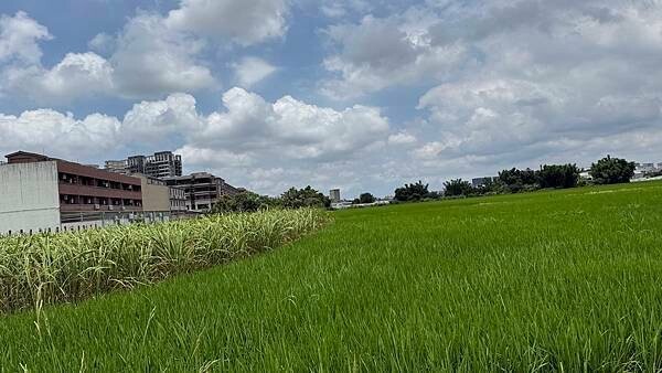 IMG_8371 (1).jpg IMG_8371 (1).jpg