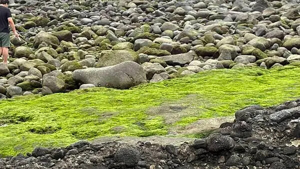 IMG_6937.jpg IMG_6937.jpg