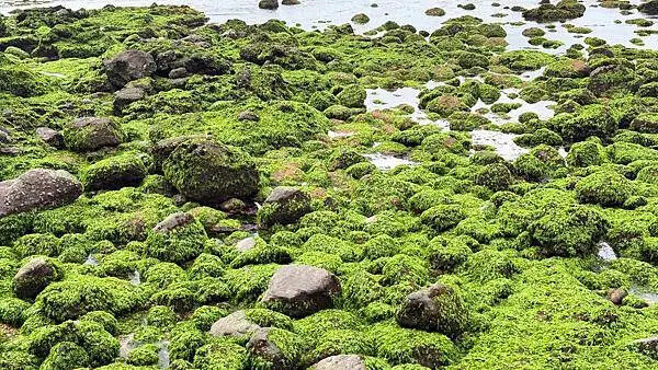 IMG_6943 (2).jpg IMG_6943 (2).jpg