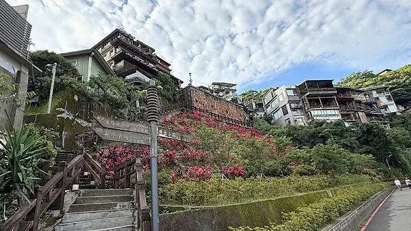 IMG_9339.jpg IMG_9339.jpg