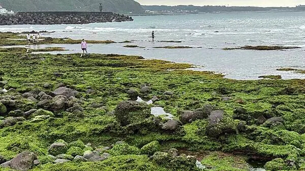 IMG_6958.jpg IMG_6958.jpg