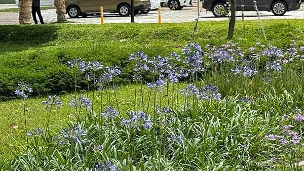 IMG_8258.jpg IMG_8258.jpg