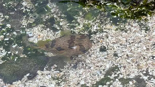 IMG_6975.jpg IMG_6975.jpg