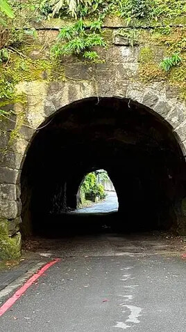 IMG_9320.jpg IMG_9320.jpg