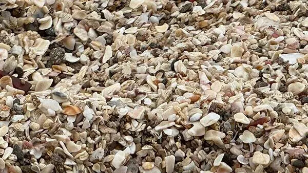 IMG_6974 (1).jpg IMG_6974 (1).jpg