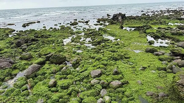 IMG_6951 (1).jpg IMG_6951 (1).jpg