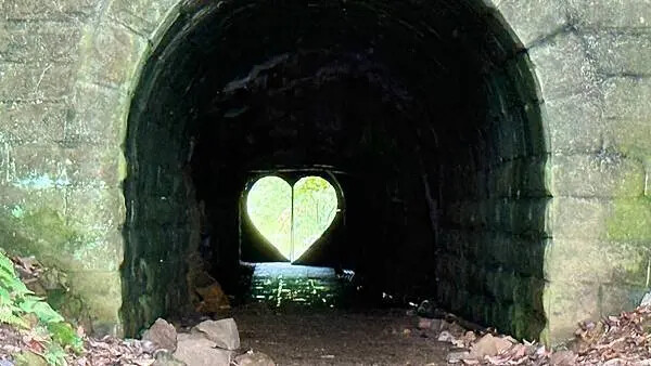 IMG_9458 (1).jpg IMG_9458 (1).jpg