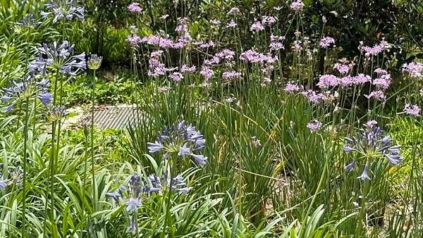 IMG_8257 (1).jpg IMG_8257 (1).jpg