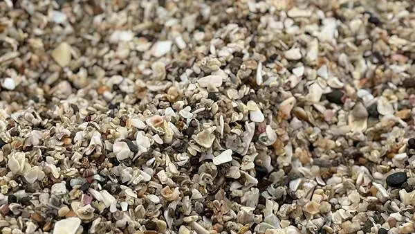 IMG_6972.jpg IMG_6972.jpg