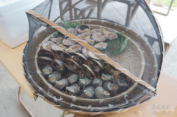 伊勢志摩海女小屋體驗，炭烤海鮮超鮮甜，變裝體驗一次滿足。