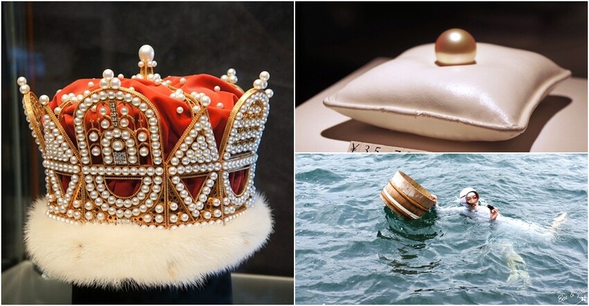 伊勢志摩海女小屋體驗，炭烤海鮮超鮮甜，變裝體驗一次滿足。