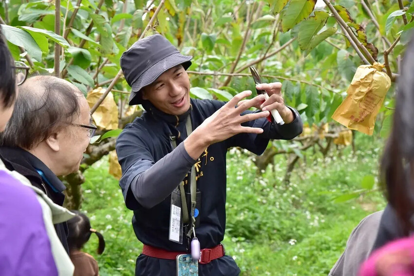 台鐵觀光列車|雄獅旅遊 鳴日廚房X君品頤宮米其林三星料理 移 台鐵觀光列車|雄獅旅遊 鳴日廚房X君品頤宮米其林三星料理 移