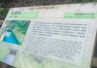 后里泰安商圈一日遊，綠化新魅力秘境探訪。