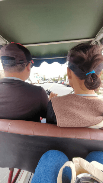 田尾花卉一條街小旅行！賞花拍美照必去超療癒。