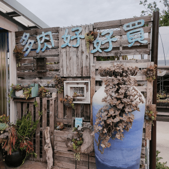 田尾花卉一條街小旅行！賞花拍美照必去超療癒。