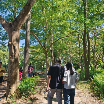 后里泰安商圈一日遊，綠化新魅力秘境探訪。
