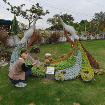 田尾花卉一條街小旅行！賞花拍美照必去超療癒。