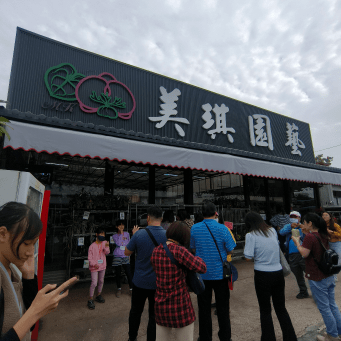 田尾花卉一條街小旅行！賞花拍美照必去超療癒。