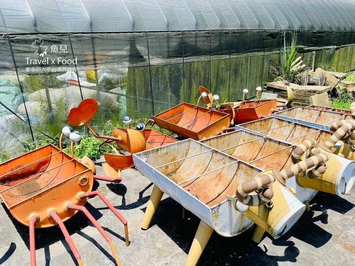 宜蘭冬山免門票景點「仁山植物園」，無障礙林蔭步道，四季健走好去處！ - 魚兒 x 牽手明太子的「視」界旅行