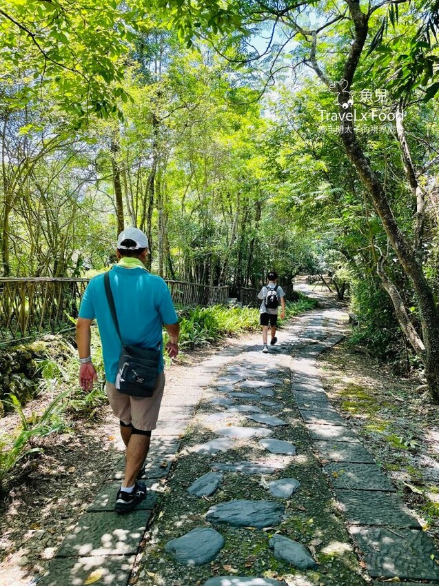 宜蘭冬山免門票景點「仁山植物園」，無障礙林蔭步道，四季健走好去處！ - 魚兒 x 牽手明太子的「視」界旅行