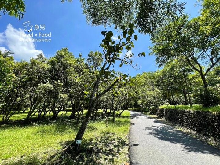 宜蘭冬山免門票景點「仁山植物園」，無障礙林蔭步道，四季健走好去處！ - 魚兒 x 牽手明太子的「視」界旅行